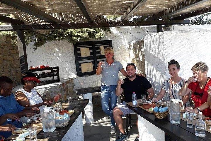 Visit the Mykonian Farm in Mykonos - Image 2