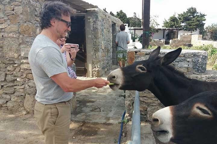 Visit the Mykonian Farm in Mykonos - Image 1