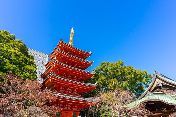 Full Day Private Shore Tour in Fukuoka from Sasebo Cruise Port - Image 1