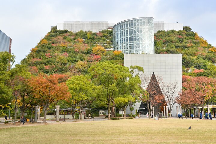 Full Day Private Shore Tour in Fukuoka from Sasebo Cruise Port - Image 5