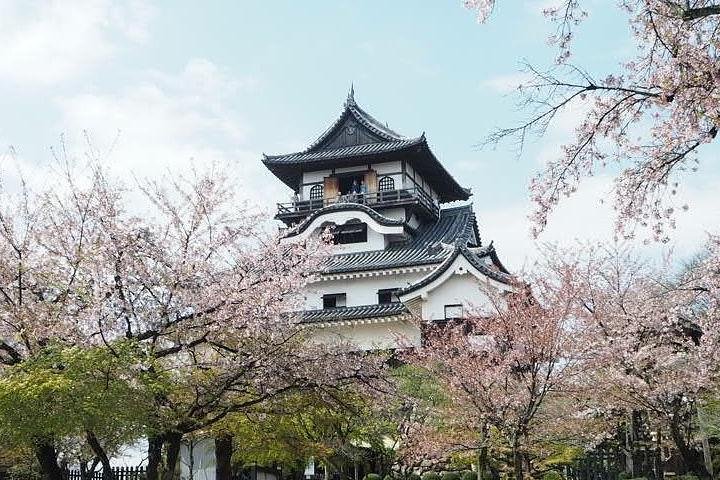 Nagoya / Aichi Full-day Private Custom Tour with National Licensed Guide - Image 3