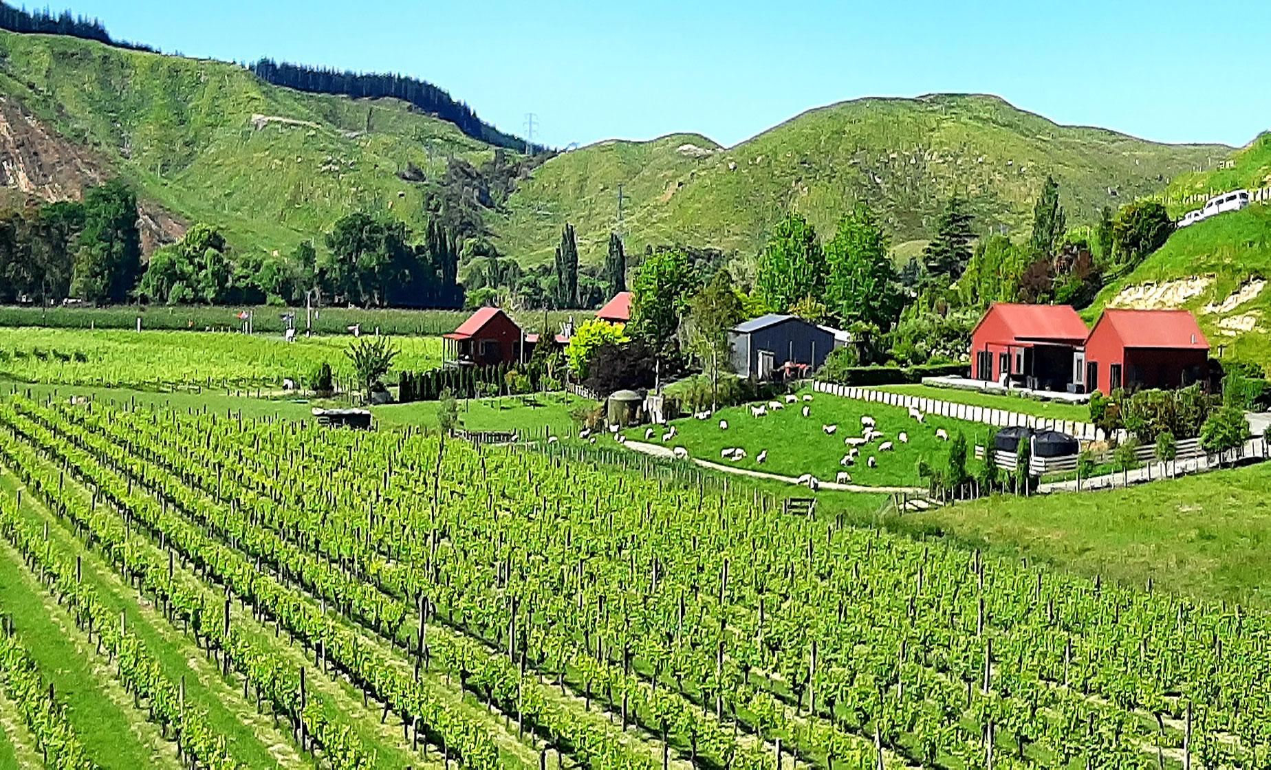 Deco Napier Town and Country Tour - Image 1