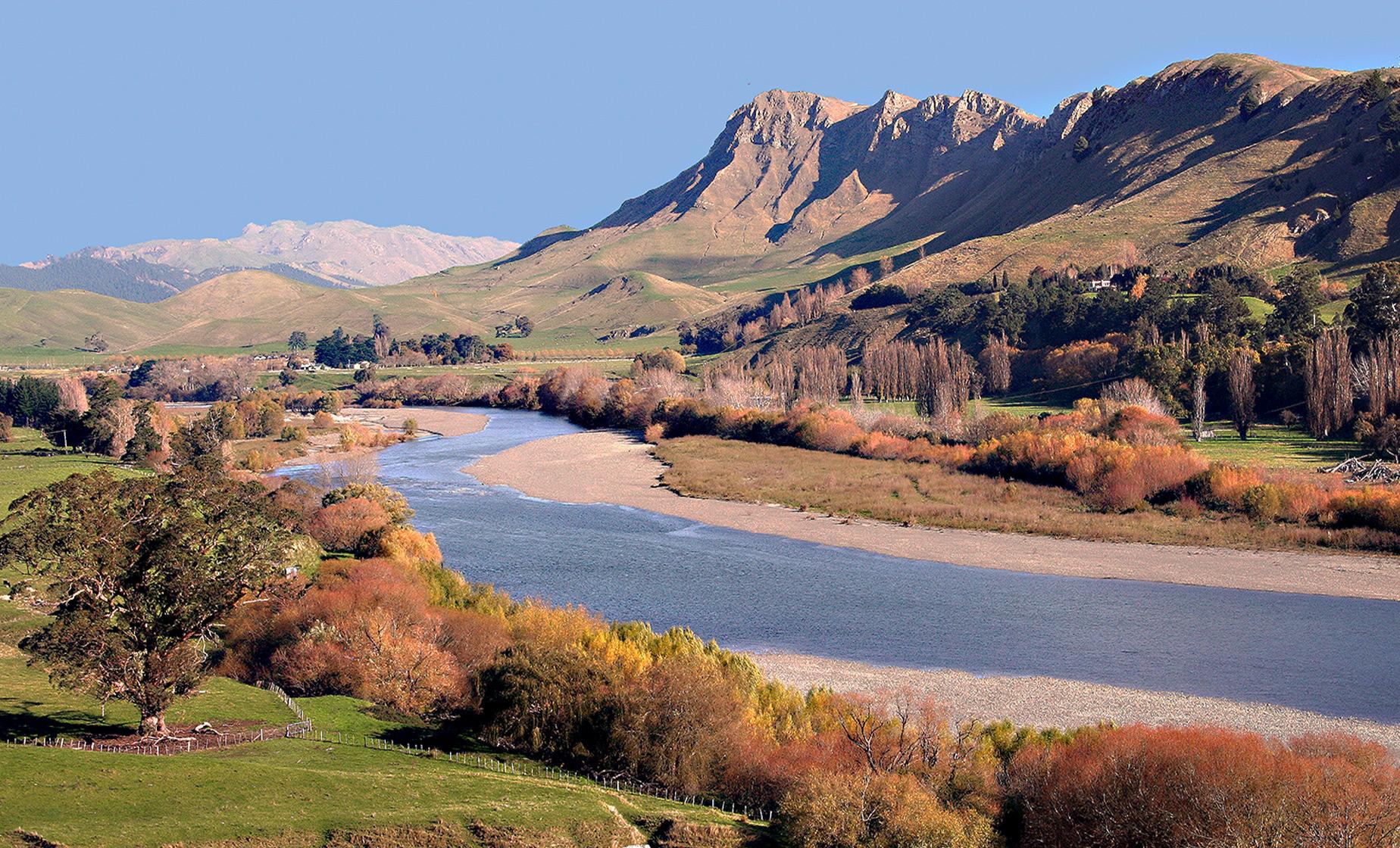 Hawkes Bay Scenic Tour - Image 1
