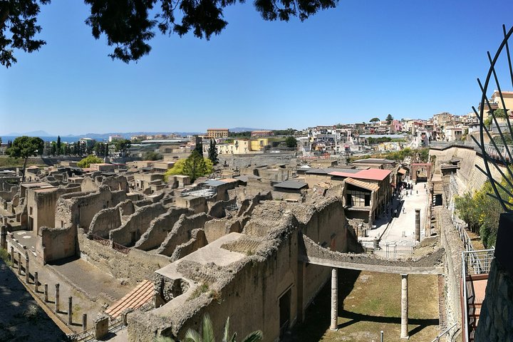 4/hours Half Day Trip Excursion to Herculaneum - Guide included - Image 3