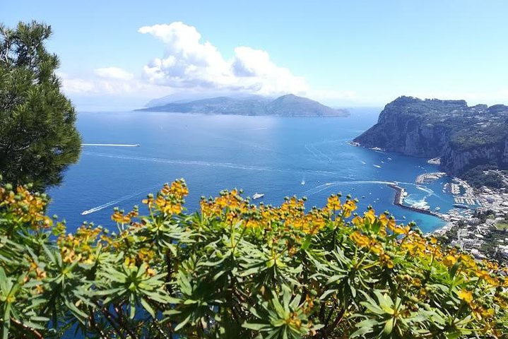 A special day in Capri - walking and boat tour - Image 1