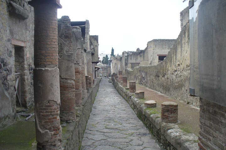Archaeological Tour: Ruins of Herculaneum+Oplontis+Pompeii (Full Day) - Image 5