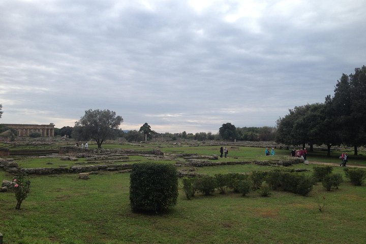 Day Tour of Paestum and Pompei - Image 2