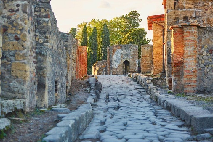 Day Trip from Naples: Pompeii and Herculaneum - private tour - Image 4