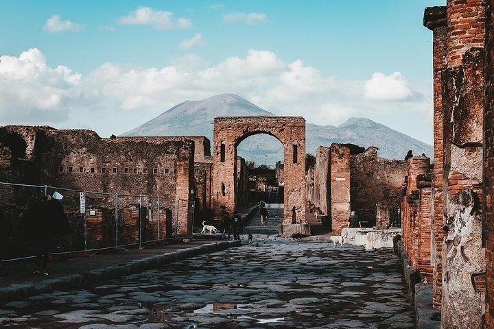 Day trip to Pompeii and Mount Vesuvius from Naples - Image 4