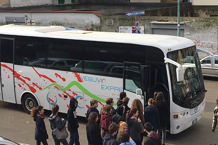 Day visit to the archaeological sites of Vesuvius and Pompeii - Image 5