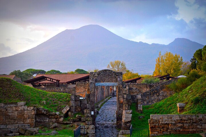 Day visit to the archaeological sites of Vesuvius and Pompeii - Image 1