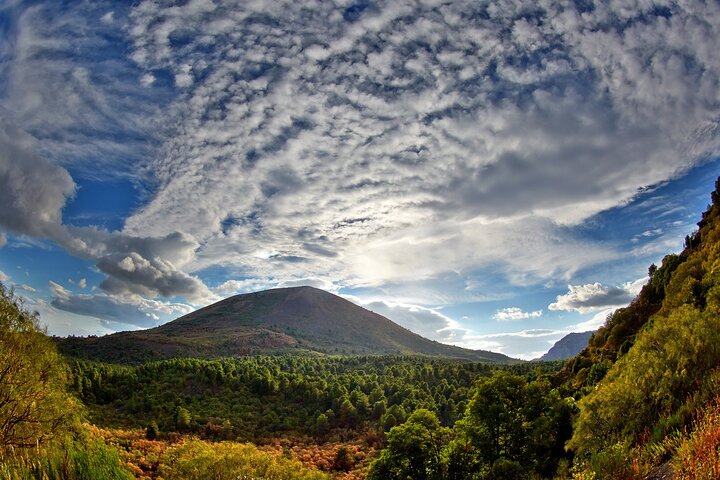 Discovering the Vesuvius - VIP tour / Small group - Image 2