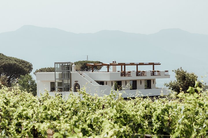 Divino Vesuvio - Wine Tasting on the slopes of Mount Vesuvius from Naples - Image 4