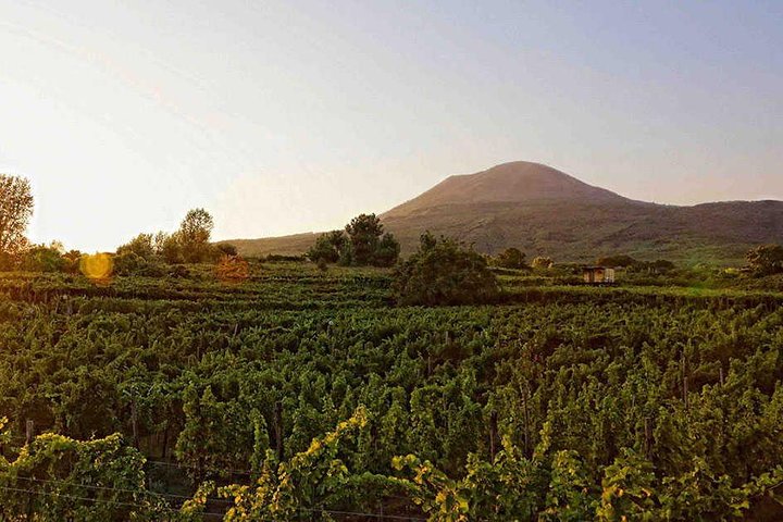 Enogastronomic Tour From Naples - Image 2