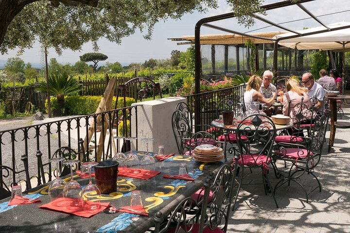 Ercolano and Vesuvio with lunch - Image 5