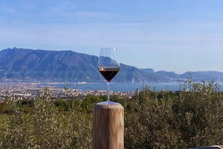 From Naples: Pompeii private tour with lunch at the slopes of Mt Vesuvius - Image 4