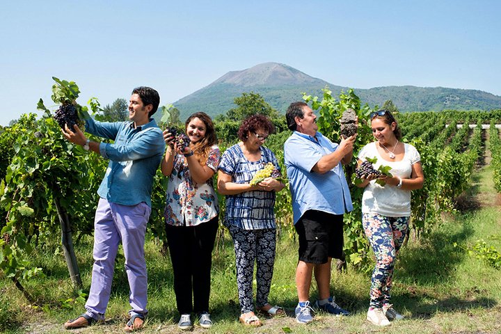From Naples: Pompeii private tour with lunch at the slopes of Mt Vesuvius - Image 3