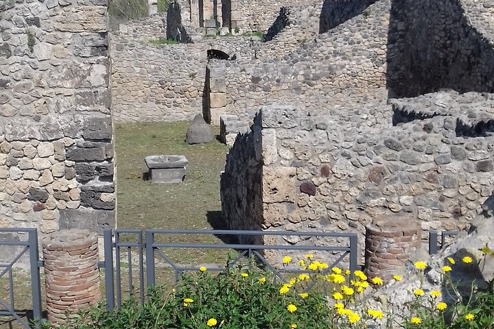 Full Day Tour Pompeii–Sorrento -Positano - Image 4