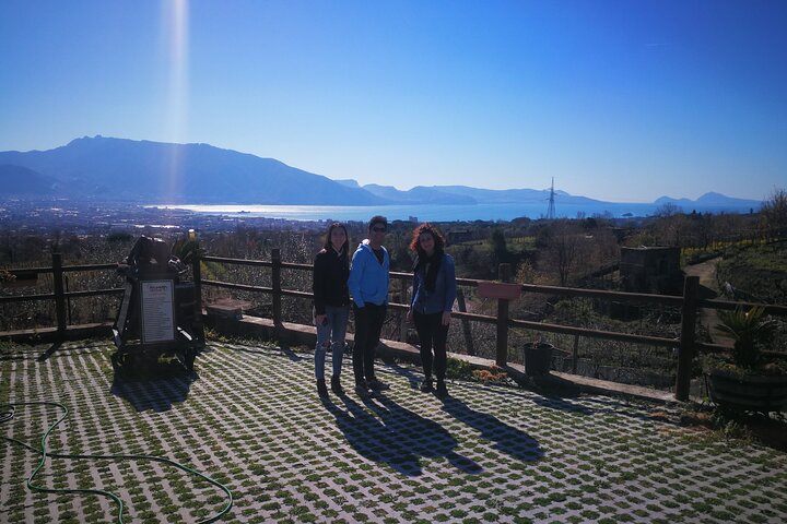 Gastronomic excursion tasting; Extra virgin olive oil, Limoncello and Vesuvius wine - Image 4