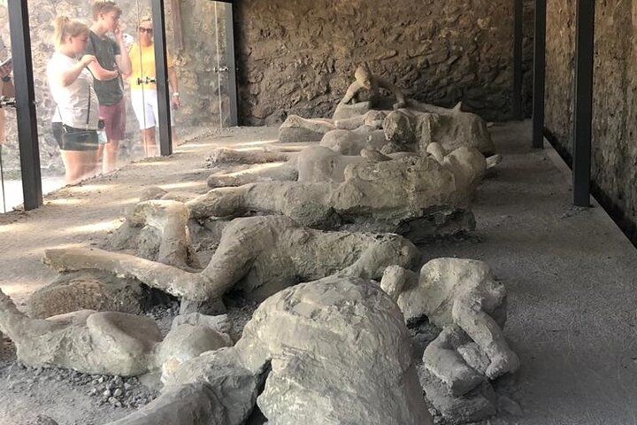 Guided Tour to Pompei and Herculaneum: Skip-the-line Tickets  - Image 1