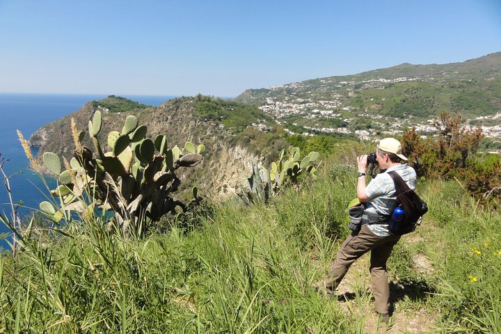 Half-day east coast hike in Ischia island with pick-up - Image 1