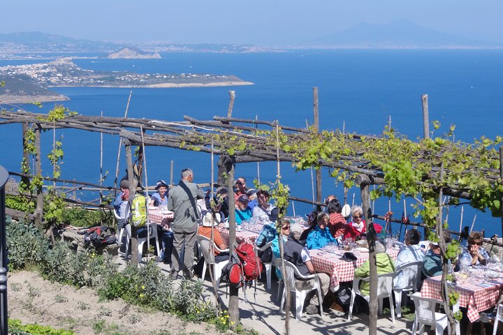 Half-day east coast hike in Ischia island with pick-up - Image 2