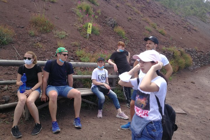 Half day shore excursion to Mount Vesuvius (4 hours) - Image 2