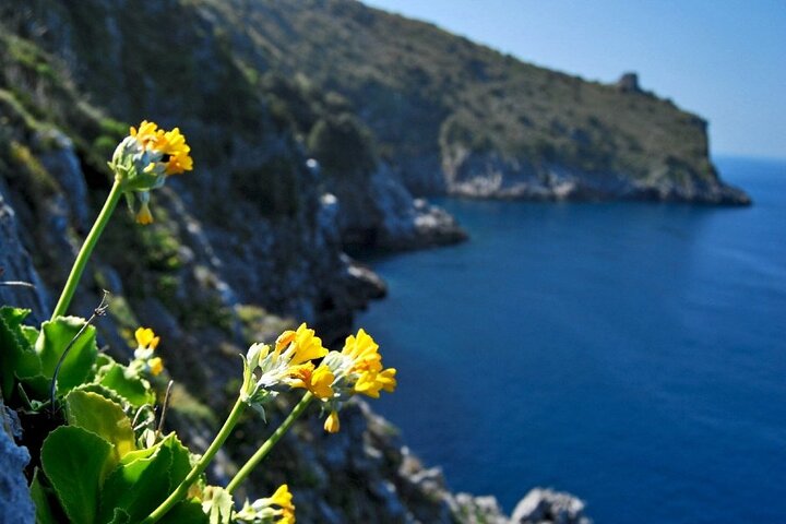 Half Day Tour to Positano and Sorrento from the Port - Image 5