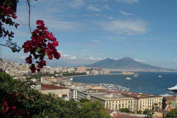 Half day visit on mount vesuvius from Naples (4 hours) - Image 2