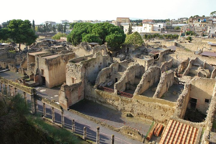 Herculaneum Discovery Tour from Naples - Image 3