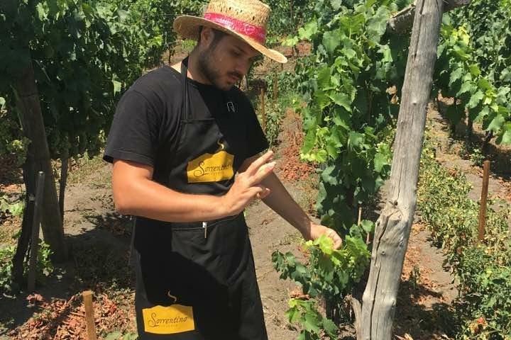 Hiking the stratovolcano Mt. Vesuivius with a wine tour (Intriguing Tour) - Image 1