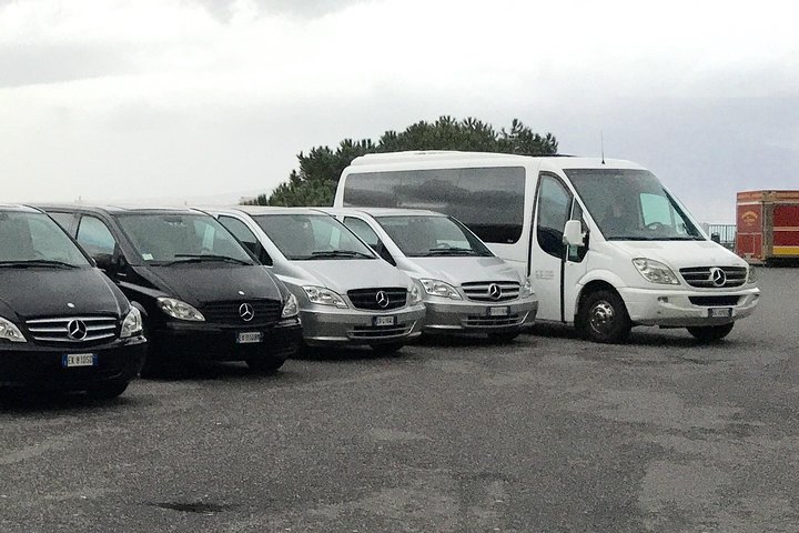 History and Wine - Private car service, guided tour of Pompeii and Wine tasting - Image 4
