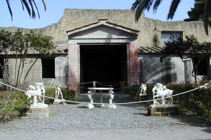 Journey from the Herculaneum Ruins to the Mt. Vesuvius Private Tour from Naples - Image 5