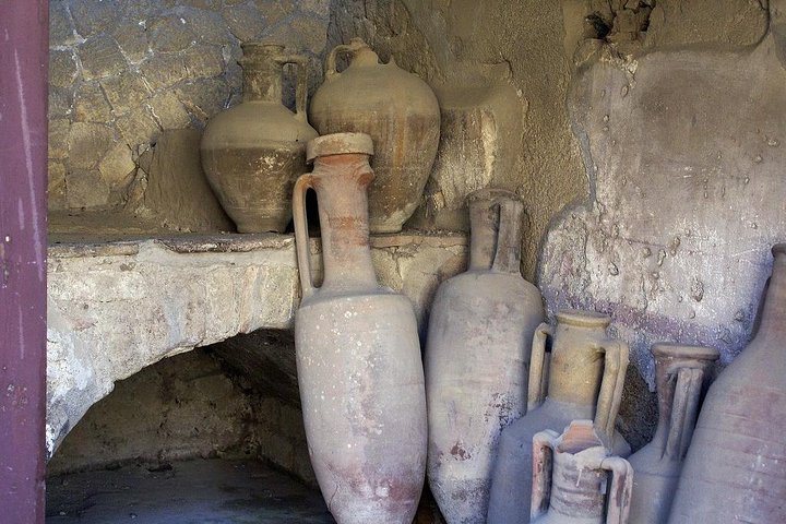 Journey from the Herculaneum Ruins to the Mt. Vesuvius Private Tour from Naples - Image 4