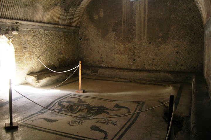 Journey from the Herculaneum Ruins to the Mt. Vesuvius Private Tour from Naples - Image 3