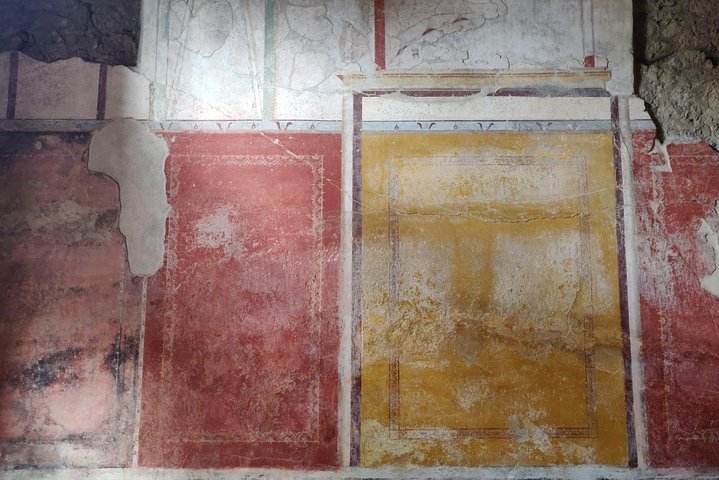 Lifestyle of The Ancient Rich: Domus & Villa in Pompeii, Oplontis and Boscoreale - Image 1