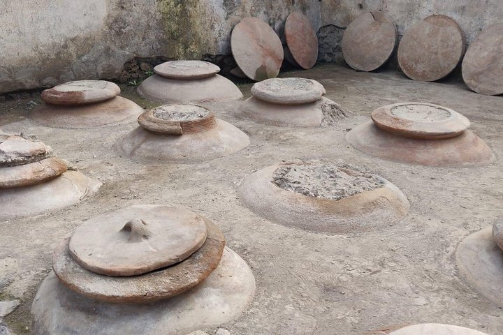 Lifestyle of The Ancient Rich: Domus & Villa in Pompeii, Oplontis and Boscoreale - Image 3