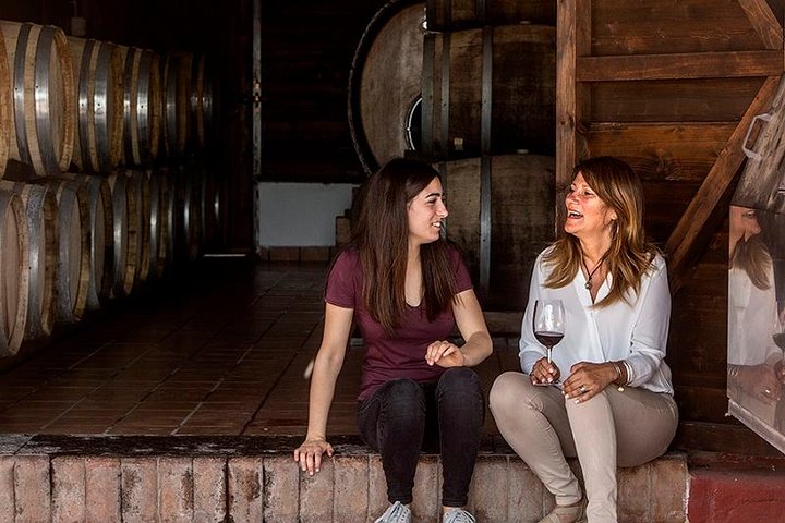 Mount Vesuvio Organic Wine Tasting & Lunch with Transfer from Naples  - Image 4