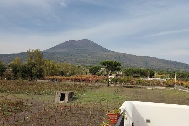 Mount Vesuvius Half Day Private Tour  - Image 1
