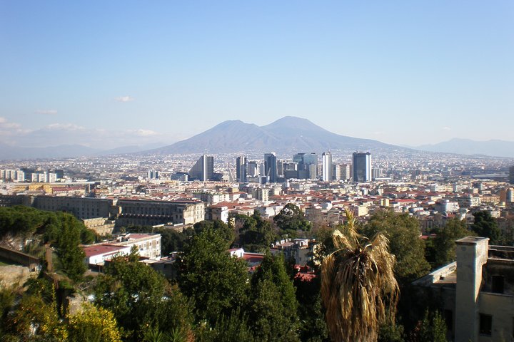 Mt Vesuvius Half-Day Trip from Naples - Image 2
