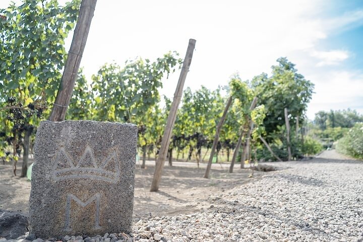 Mt Vesuvius with Winery Visit - Image 5