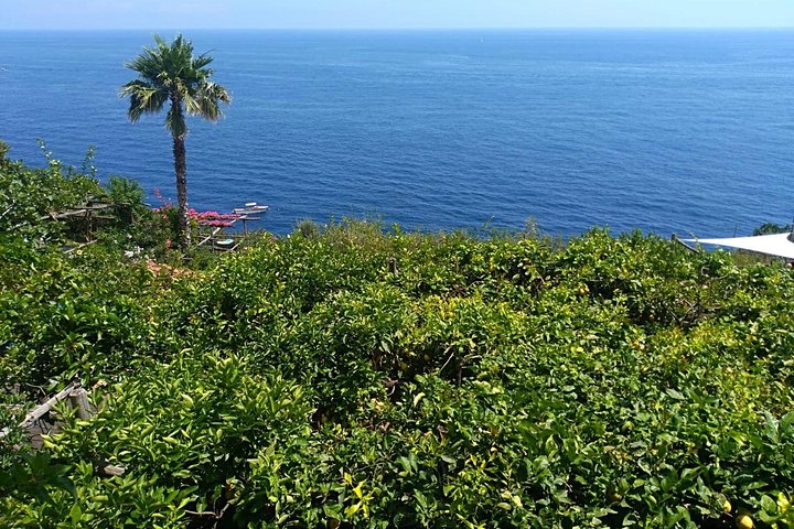 Naples port tour Sorrento and pompeii and overview of positano - Image 1