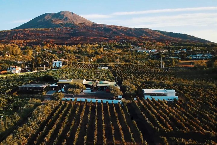 Organic Wine Tasting & Lunch on Vesuvius with Transfer from Naples - Image 1