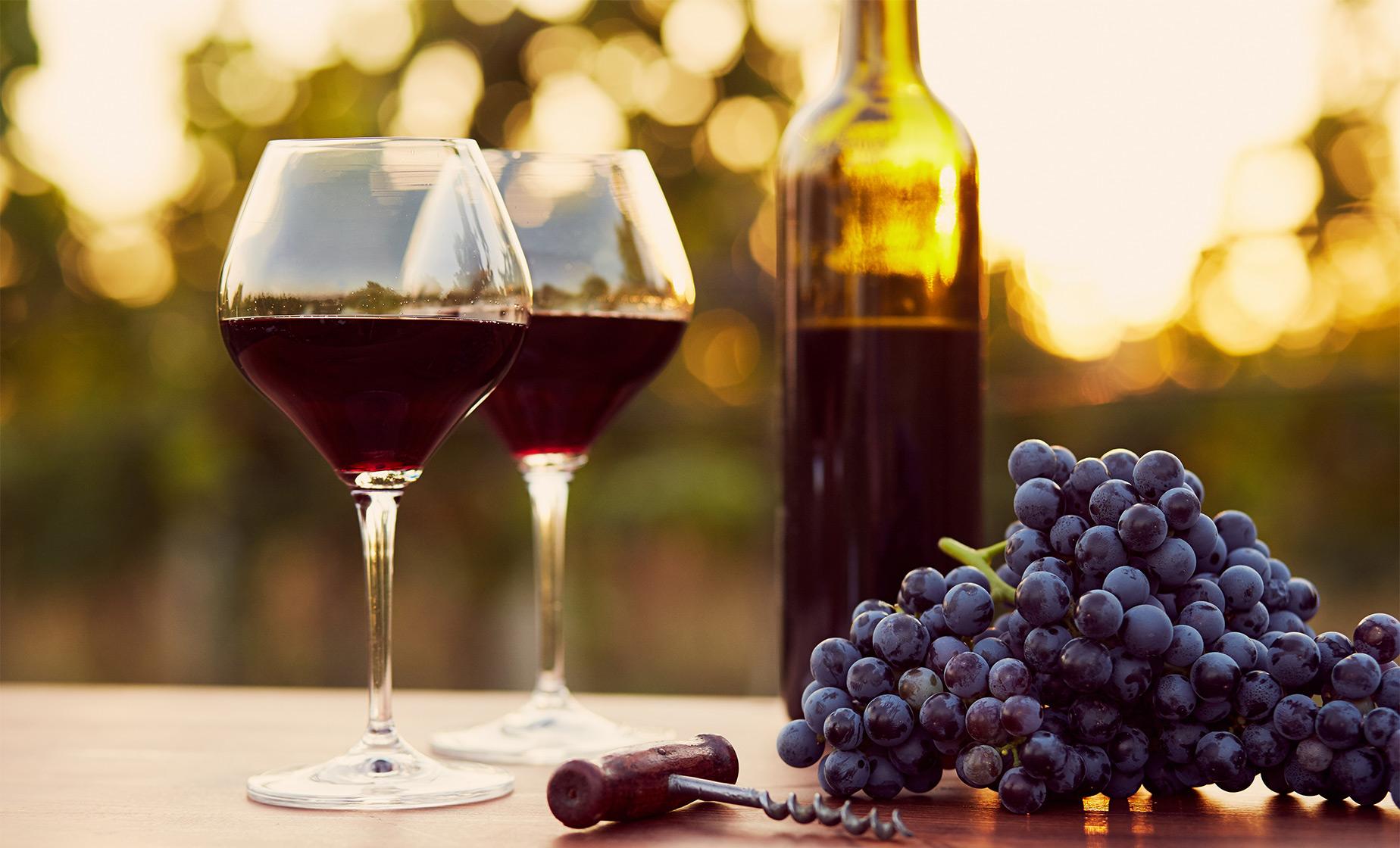 Organic Wine Tasting on Vesuvius - Image 1
