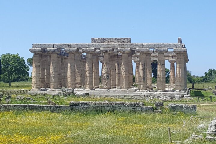 Paestum and Dairy day tour from Naples - Image 4