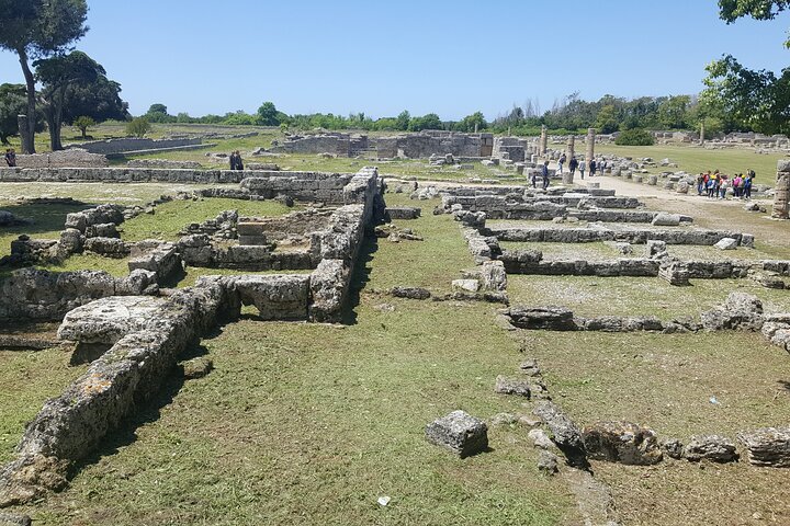 Paestum and Dairy day tour from Naples - Image 5
