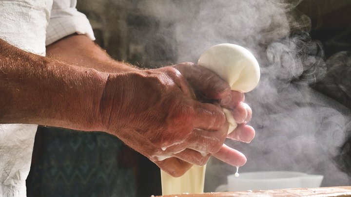 Paestum and Mozzarella Farm experience - Image 3