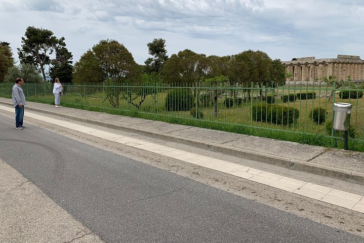 PAESTUM and POMPEI - Image 4