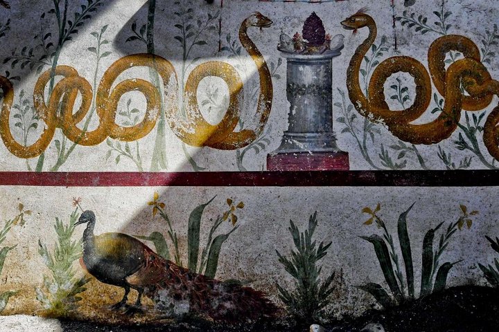 Pompei Tour - Image 5