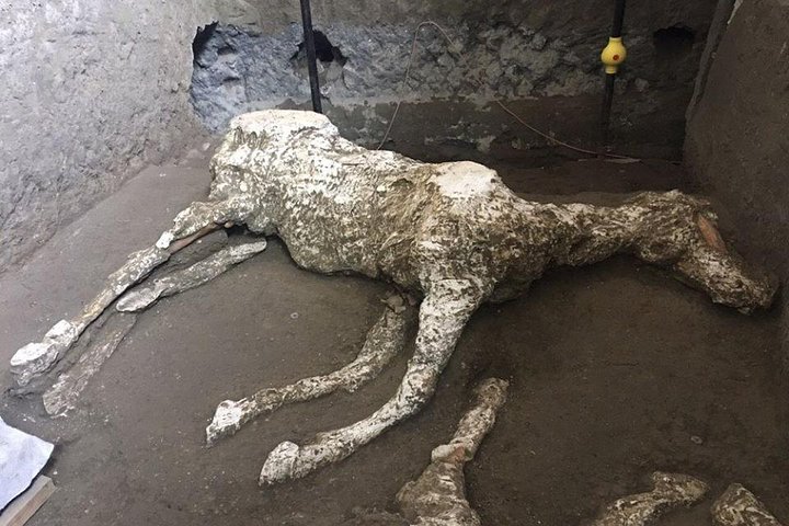 Pompeii and Amalfi Coast - Guide, Lunch and Shopping - from Naples - Image 4